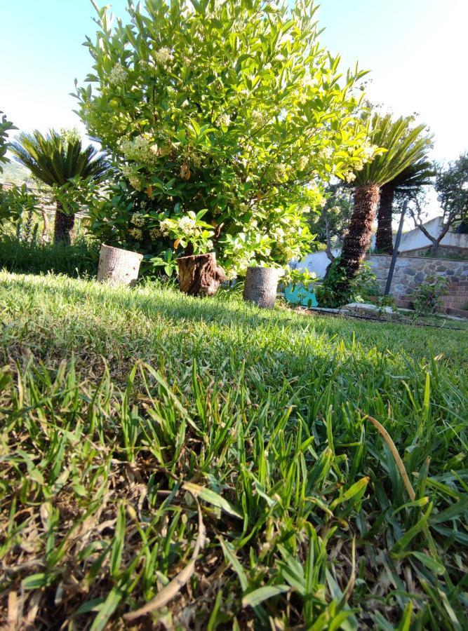 Villa Martino Apartments Cefalù Eksteriør bilde
